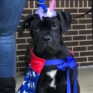 Meet your Posher, Meg